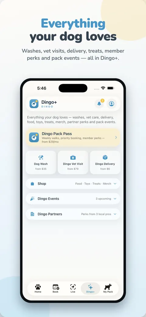 Everything your dog loves — washes, vet visits, delivery, treats, member perks and pack events in Dingo+
